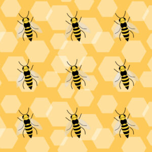 Honeycomb patterns - FUE Hair Transplant Trypophobia